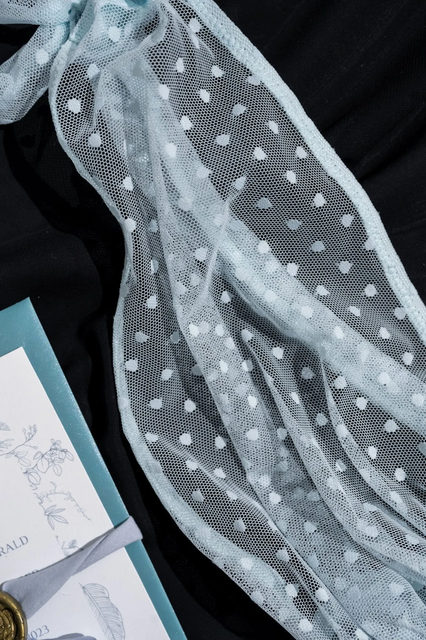 Polka Dot Mesh Babydoll - Something Blue